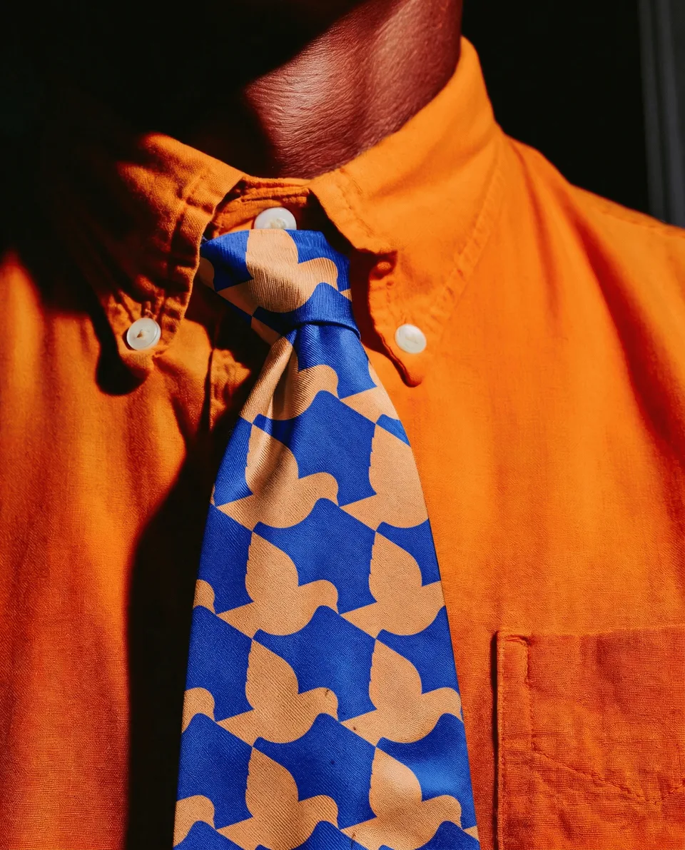 Luminaden, brand space: orange shirt with a blue and beige tie with a pigeon pattern