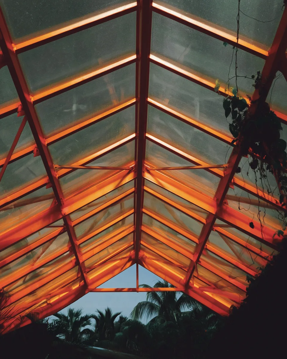 Luminaden, brand space: greenhouse roof with orange struts and palms in evening light